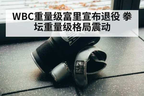 WBC重量级富里宣布退役 拳坛重量级格局震动